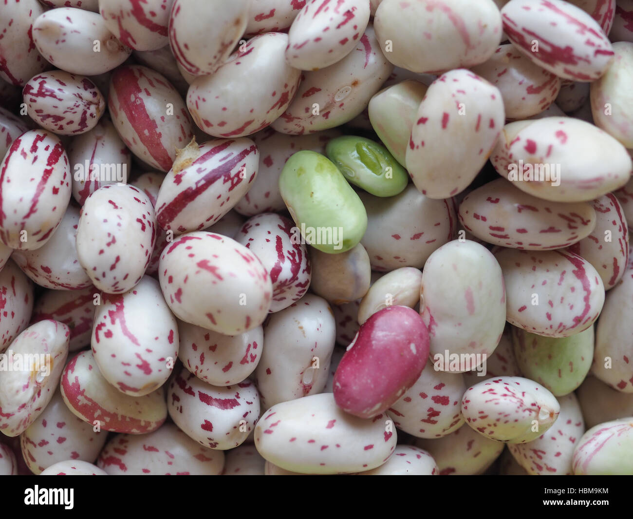 Crimson beans legumes vegetables Stock Photo Alamy