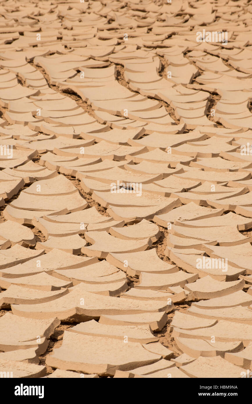 Cracked Mud in Drie Soil Stock Photo - Alamy