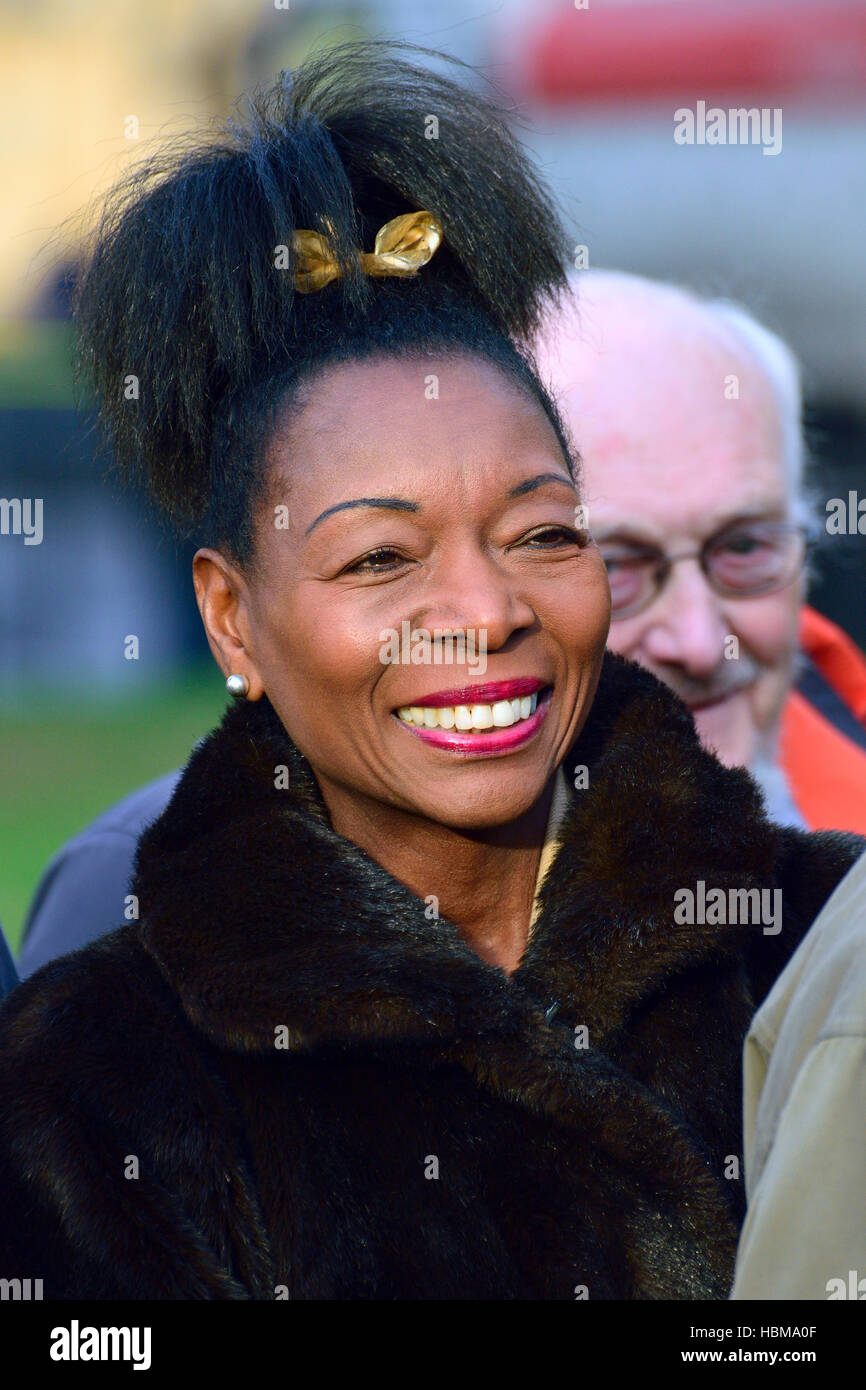 Floella Benjamin / Baroness Benjamin (LibDem), former children's TV presenter, at an event on College Green, Westminster.... Stock Photo