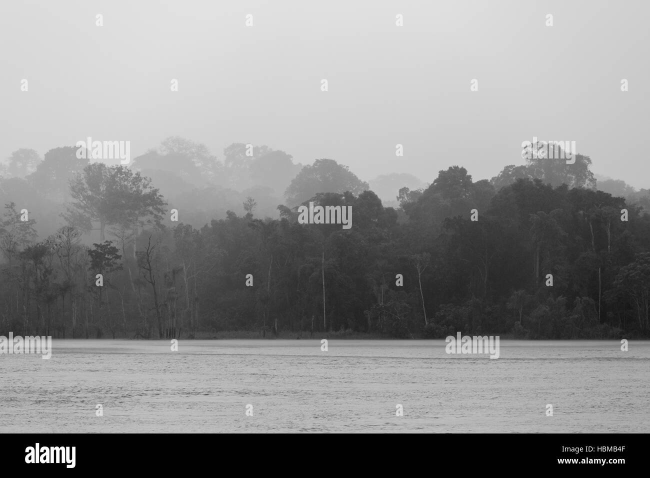Rain in tropical forest on the Amazon river, Brazil Stock Photo