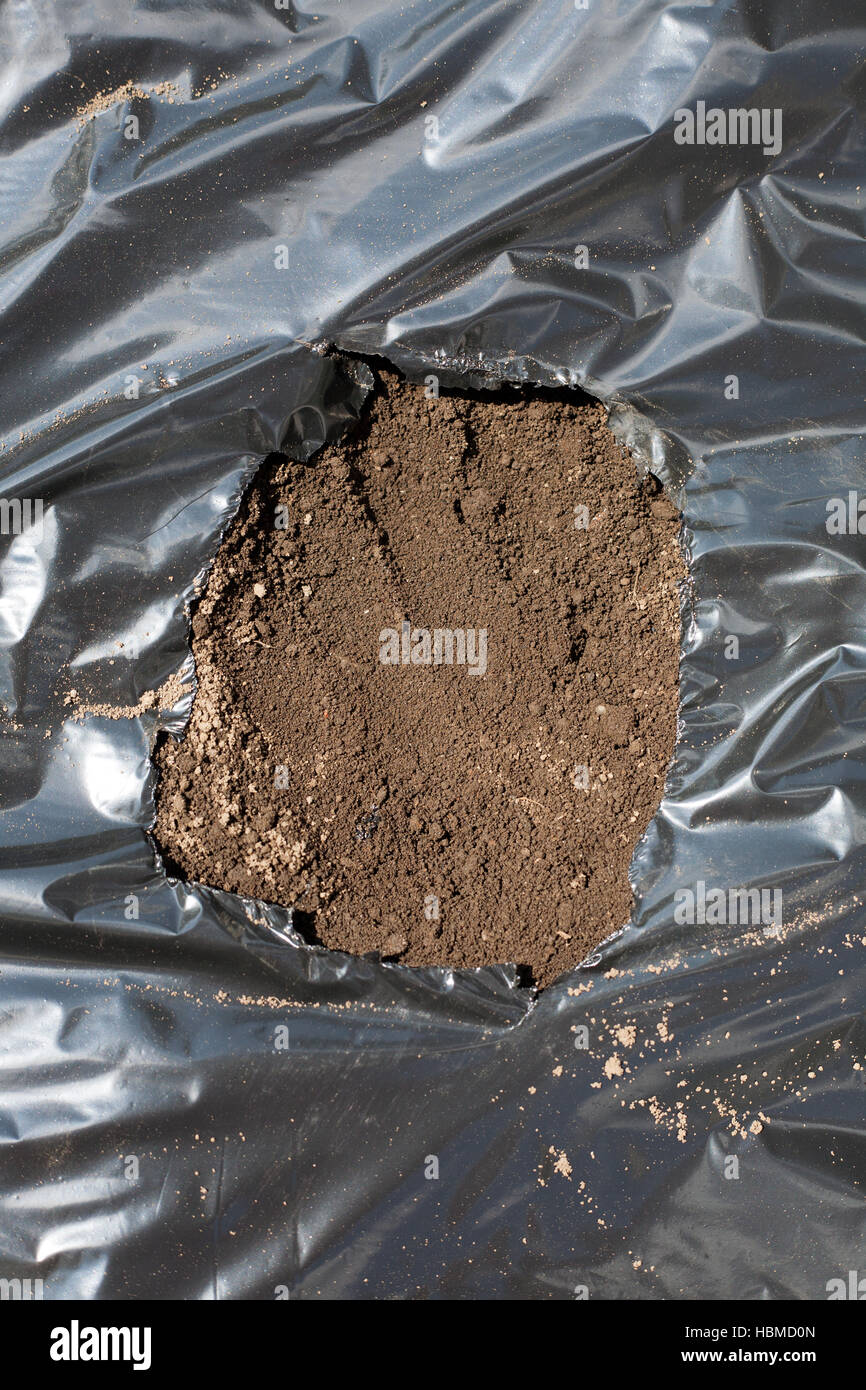 Plastic mulch hires stock photography and images Alamy