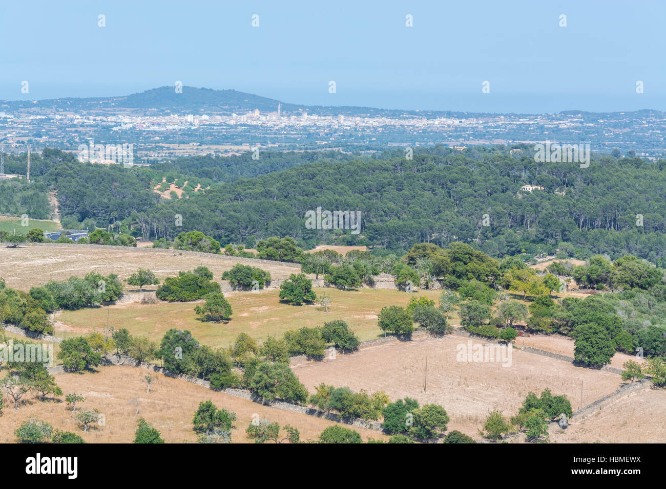 Agriculture in Mallorca Stock Photo - Alamy