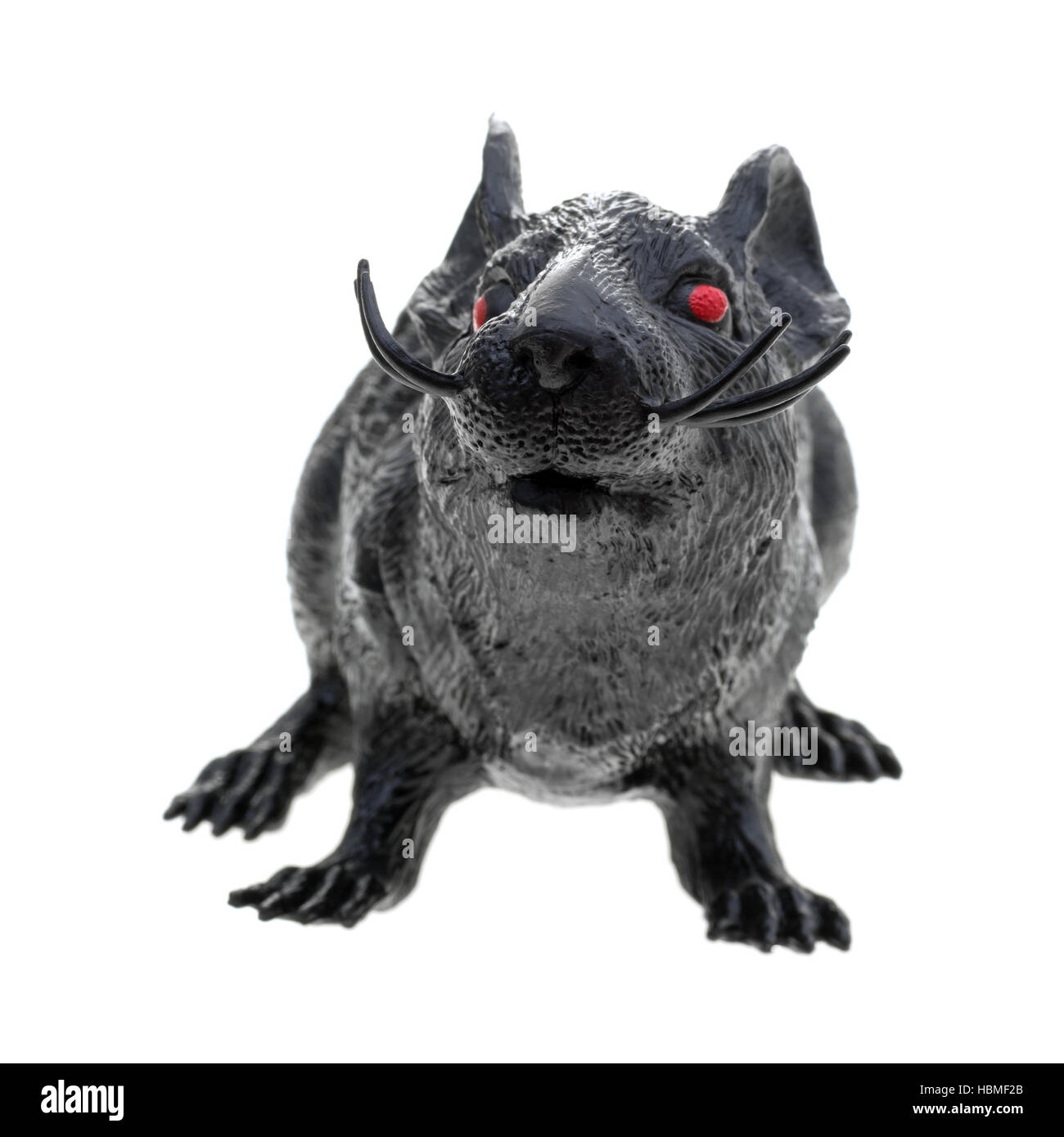 A toy plastic black rat front view with red eyes isolated on a white background. Stock Photo