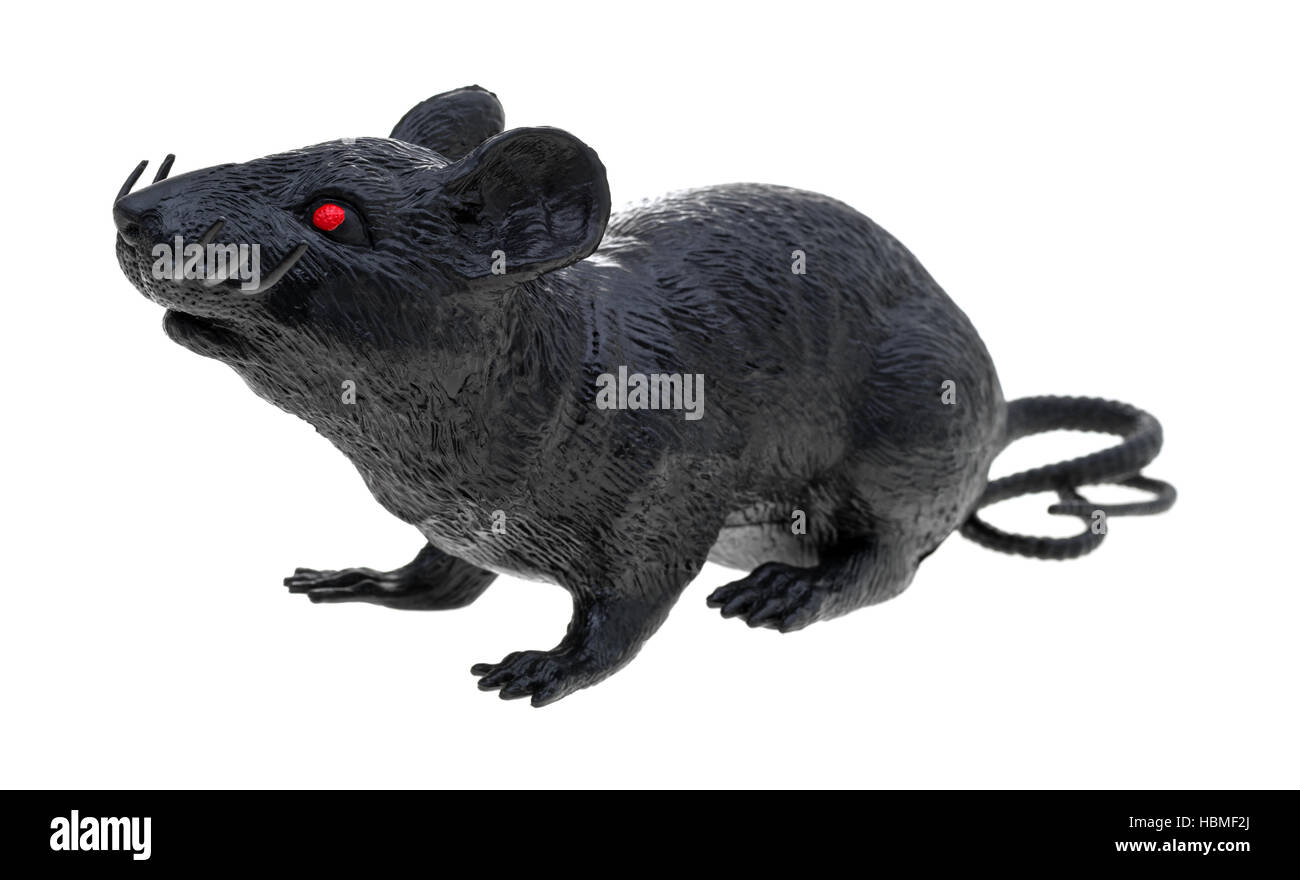 A black plastic toy rat isolated on a white background. Stock Photo