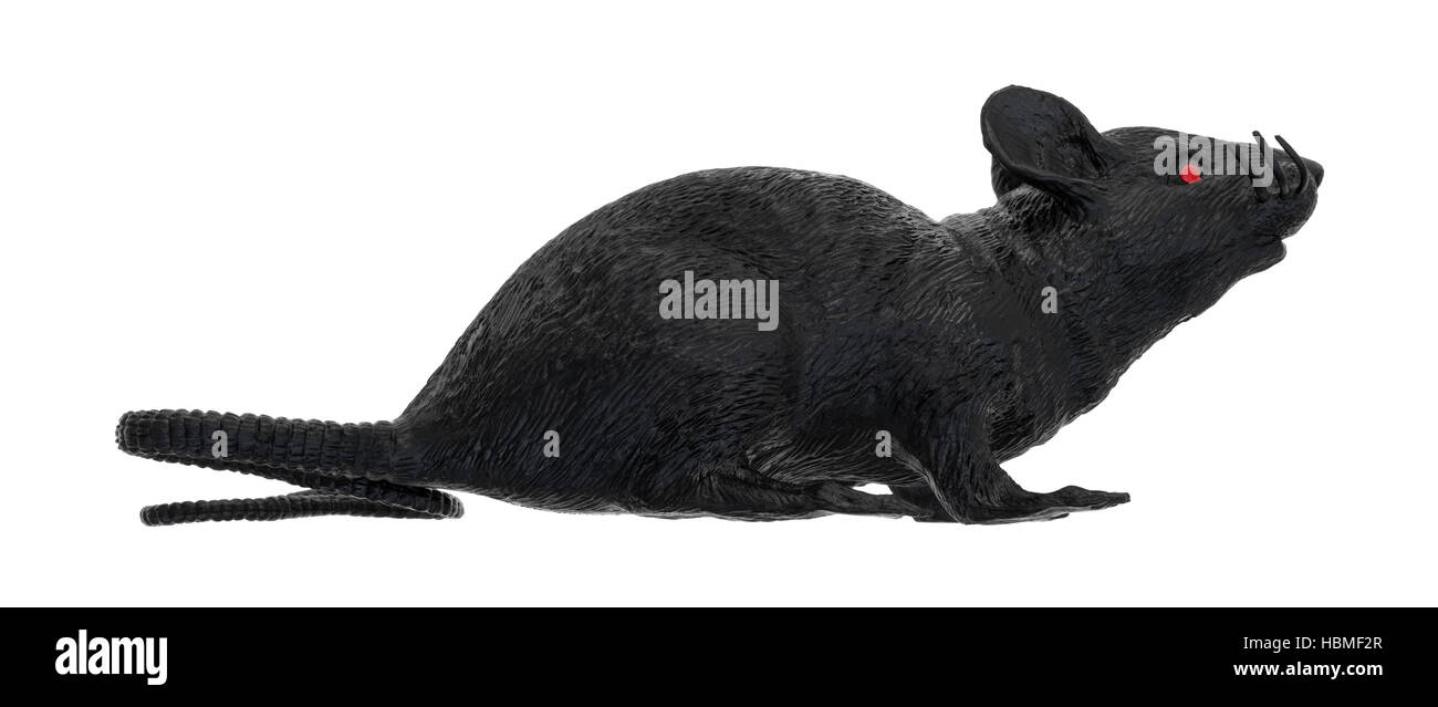 Side view of a black plastic toy rat with red eyes isolated on a white background. Stock Photo