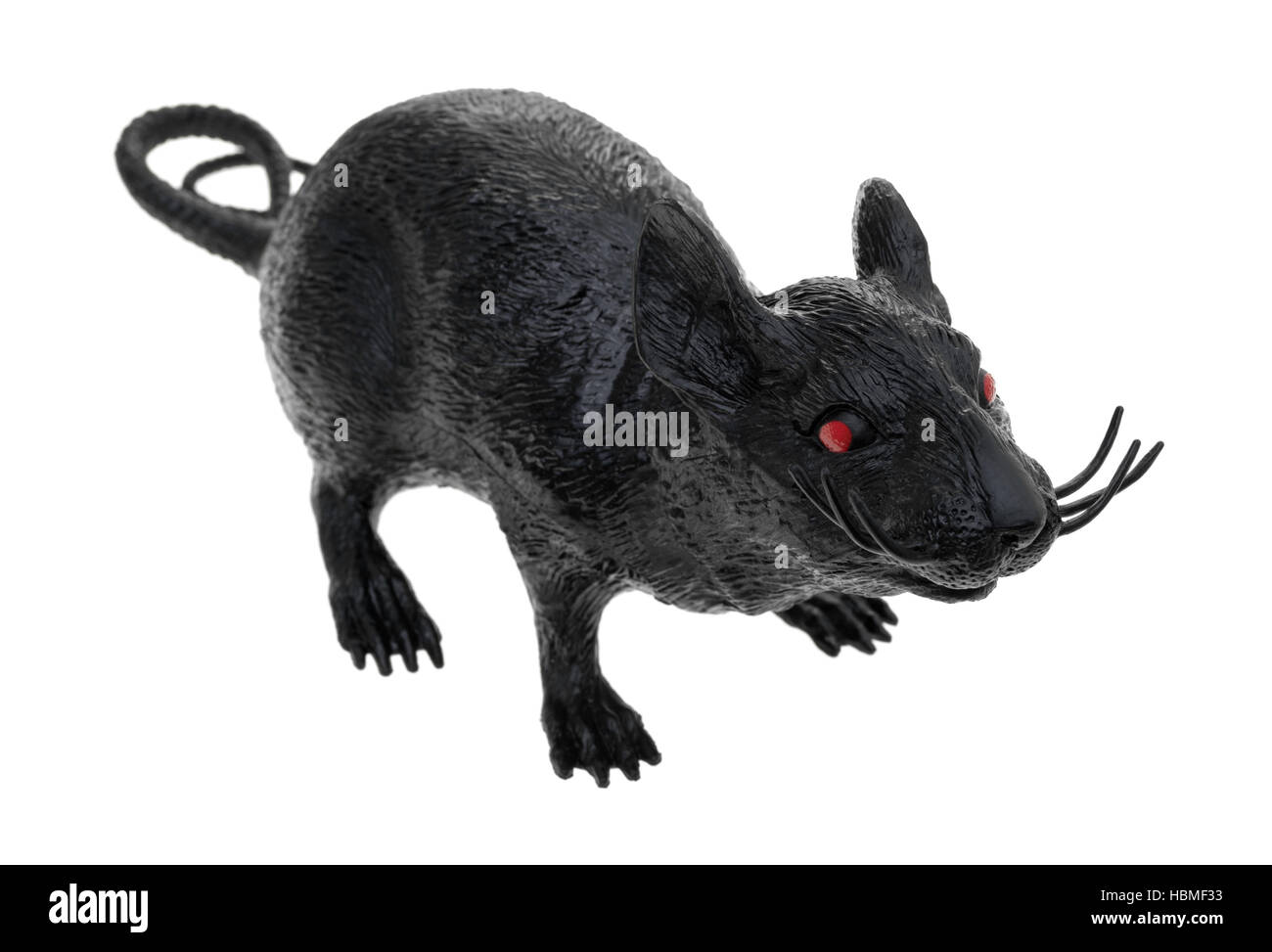 A black plastic toy rat isolated on a white background. Stock Photo