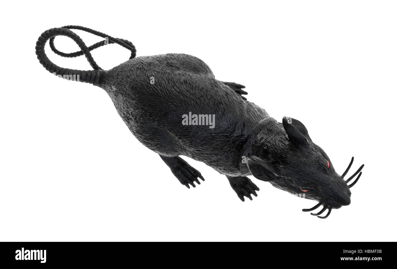 Top view of a black plastic toy rat with red eyes isolated on a white background. Stock Photo