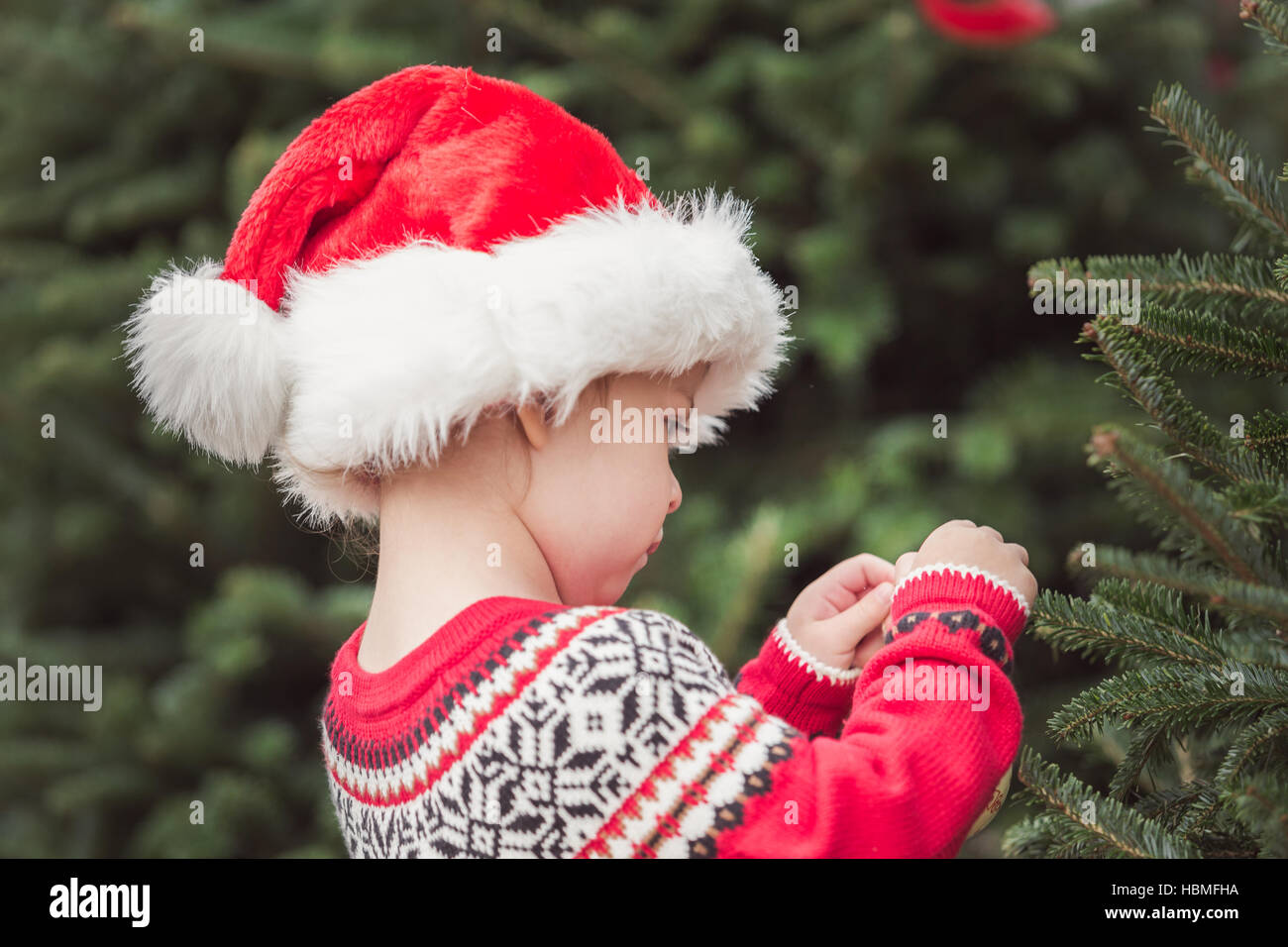 Little girl in red dress on the Christmas tree farm Stock Photo - Alamy
