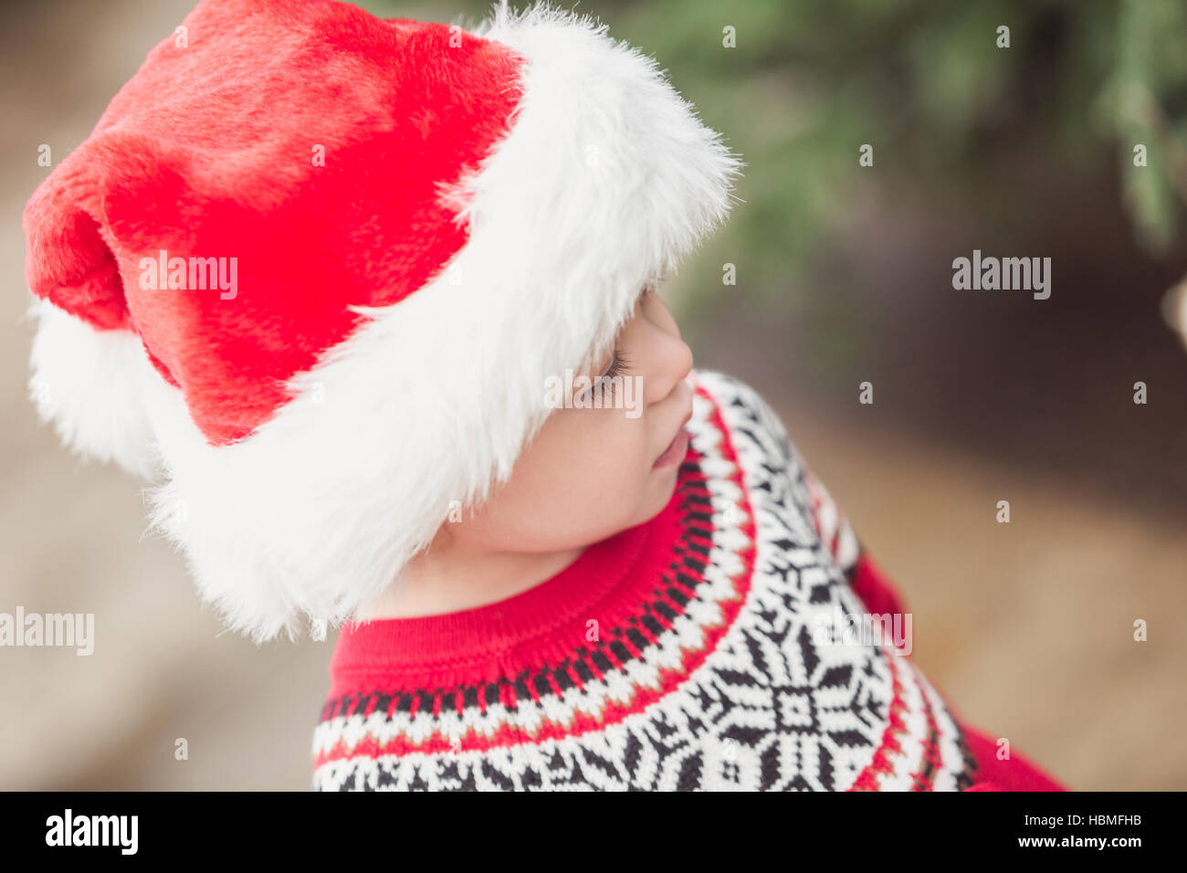 Little girl in red dress on the Christmas tree farm Stock Photo - Alamy