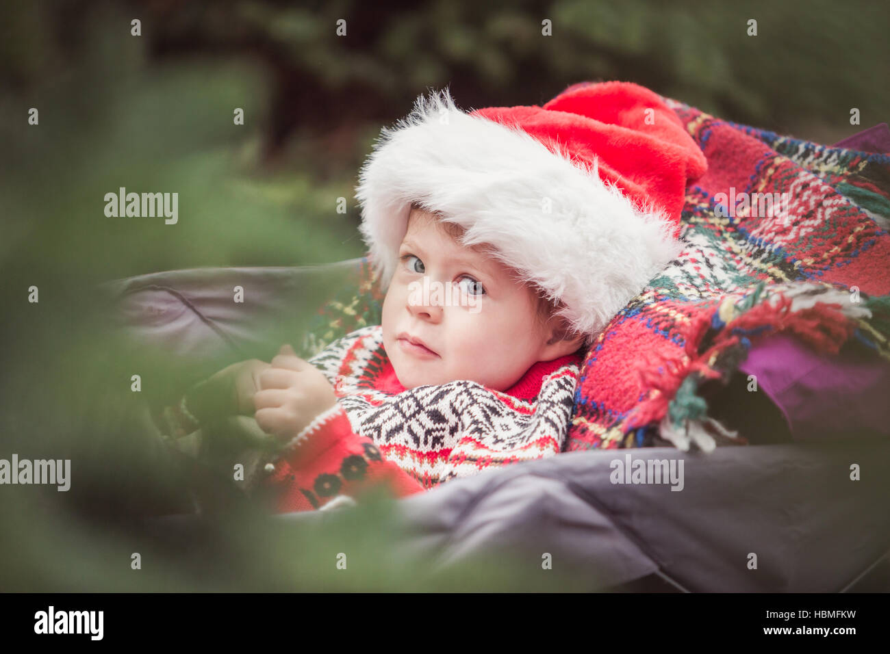 Little girl in red dress on the Christmas tree farm Stock Photo - Alamy