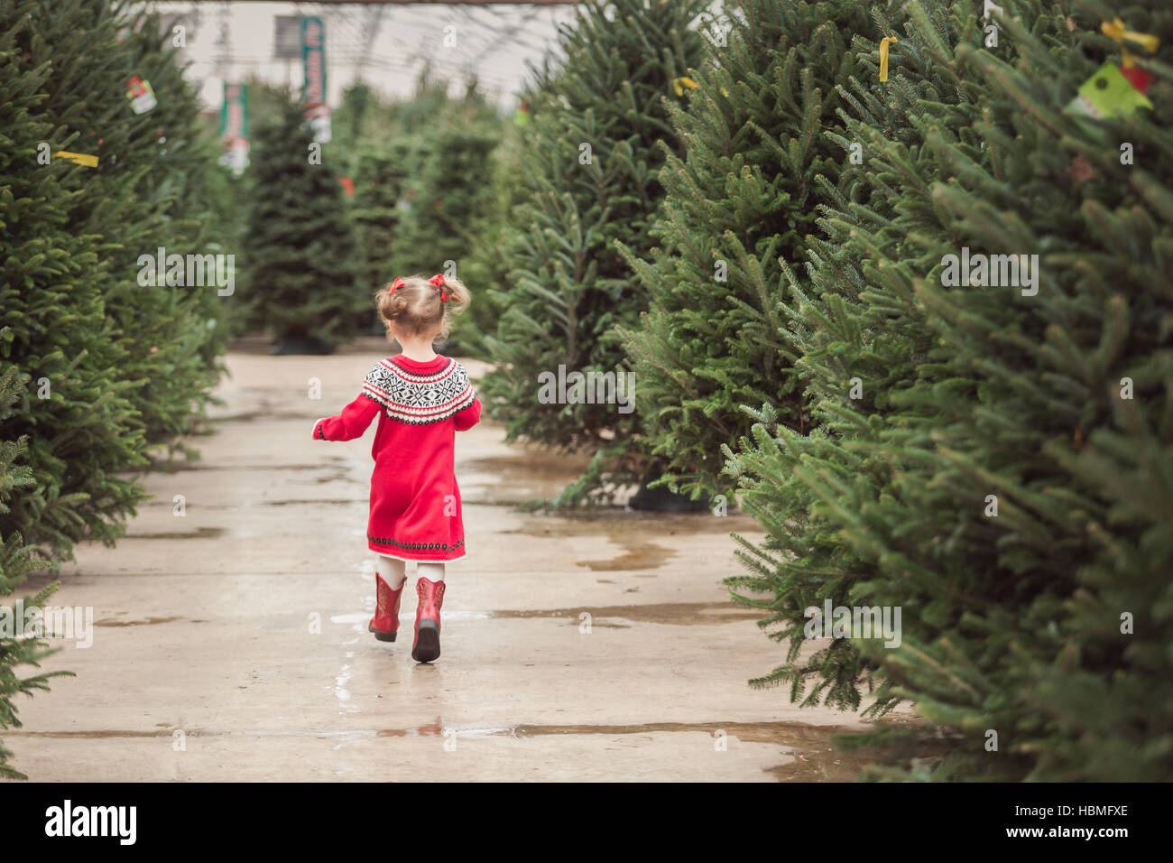 Little girl in red dress on the Christmas tree farm Stock Photo - Alamy