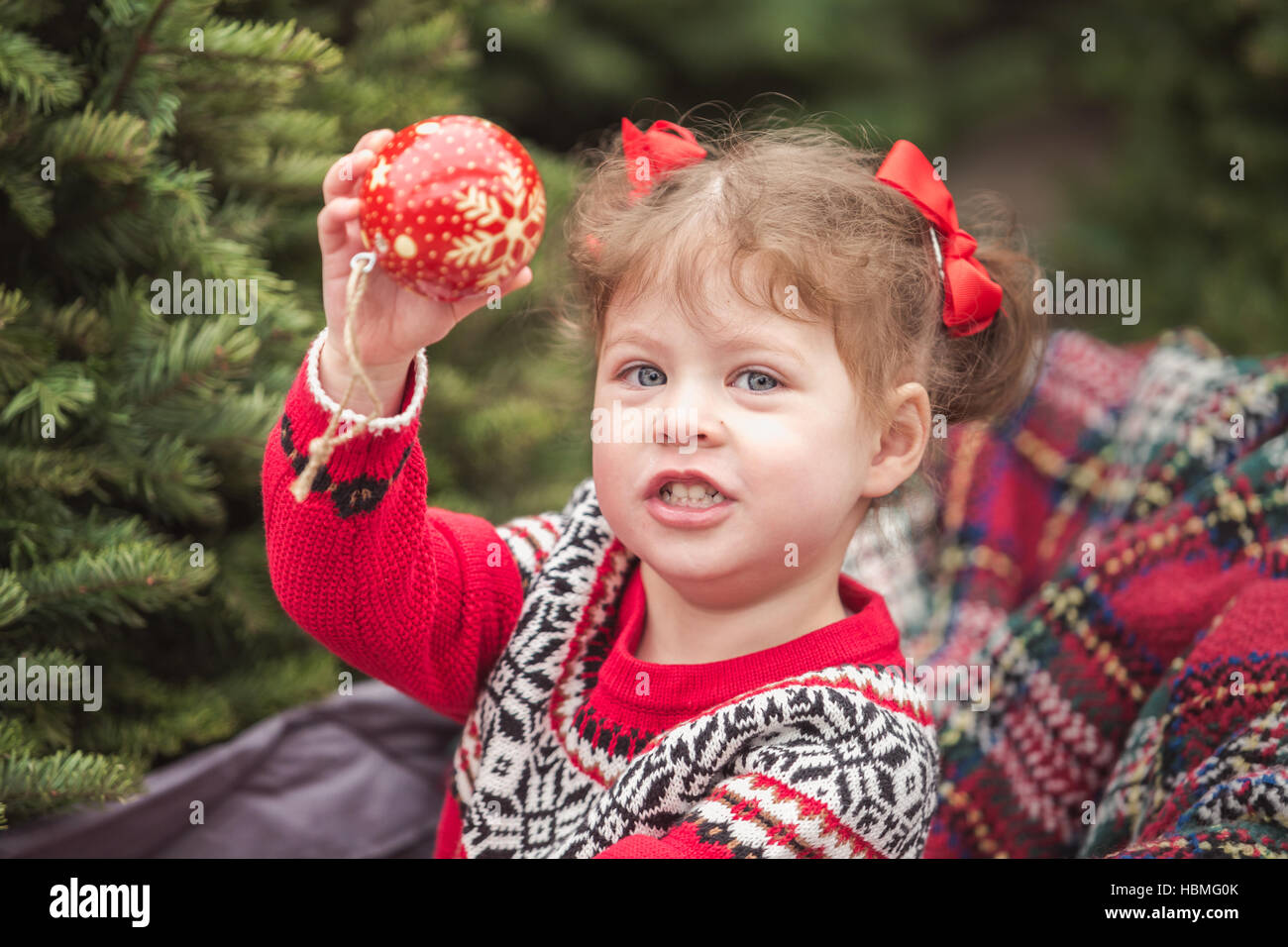 Christmas tree farm clarinda