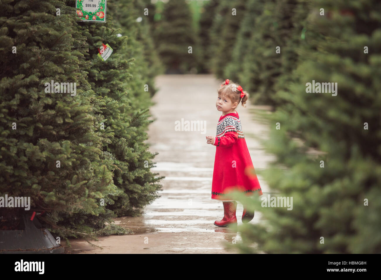 Little girl in red dress on the Christmas tree farm Stock Photo - Alamy