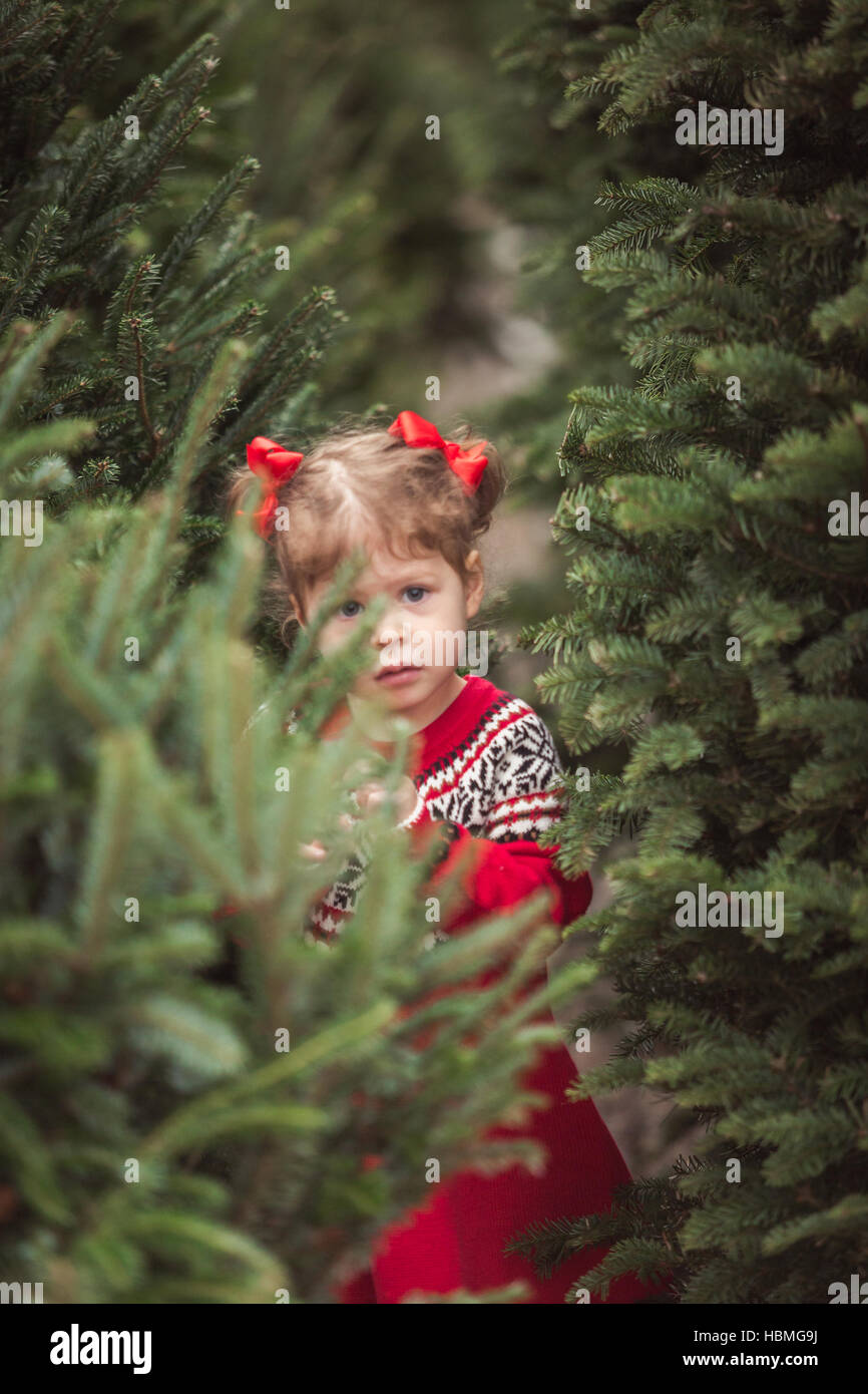 Little girl in red dress on the Christmas tree farm Stock Photo - Alamy
