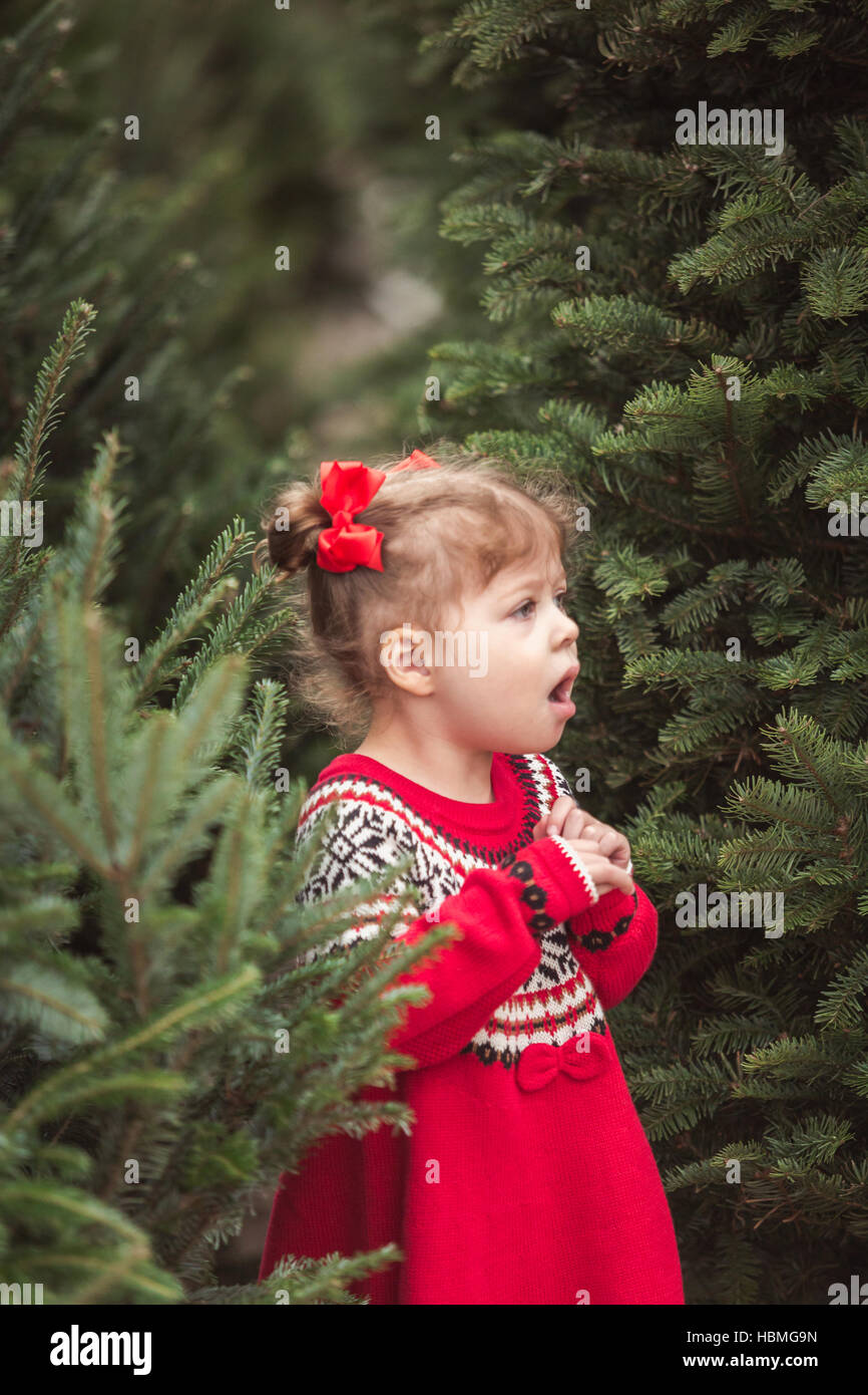 Little girl in red dress on the Christmas tree farm Stock Photo Alamy
