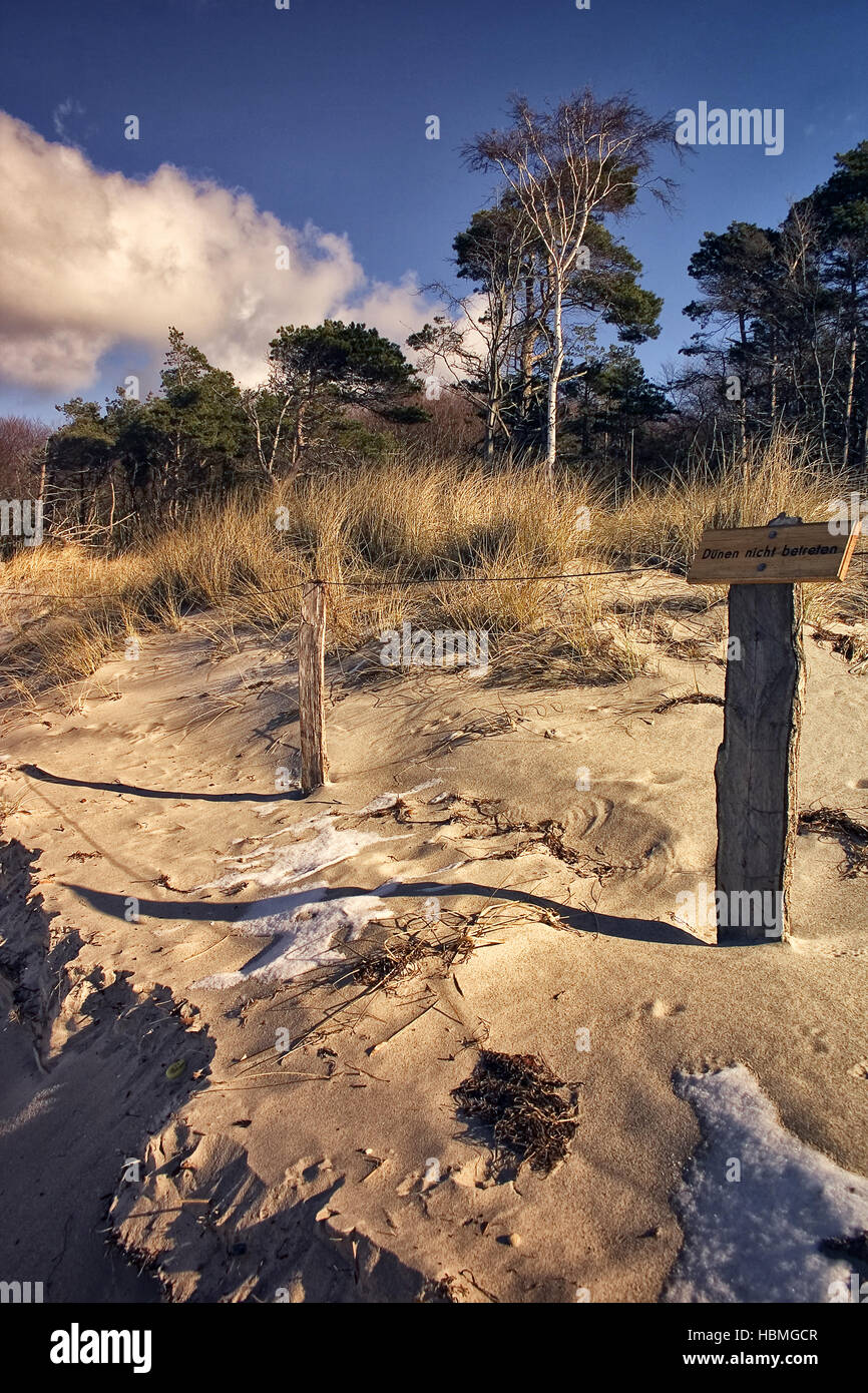 Baltic Sea Coast Stock Photo