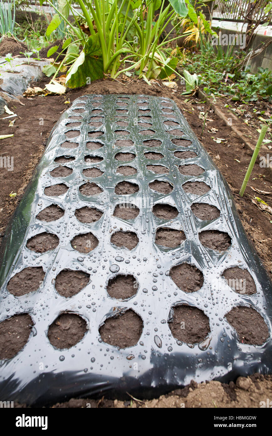 Plastic mulch hires stock photography and images Alamy