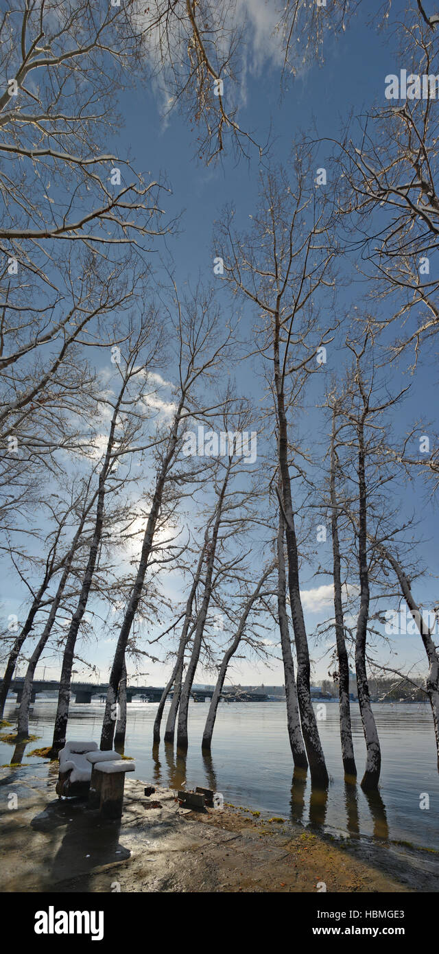 river water trees snow Stock Photo Alamy