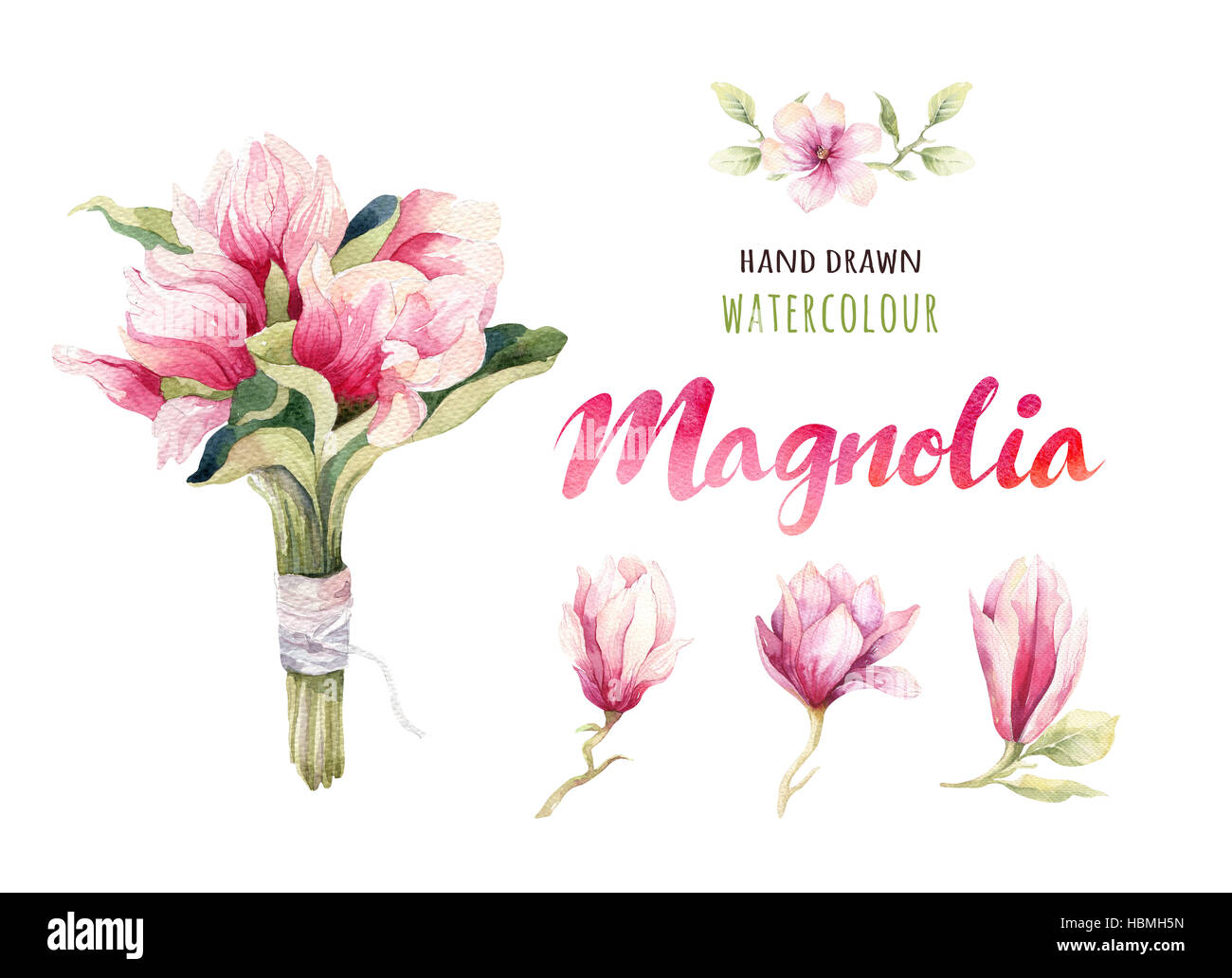Watercolor Painting Magnolia blossom flower wallpaper decoration Stock Photo