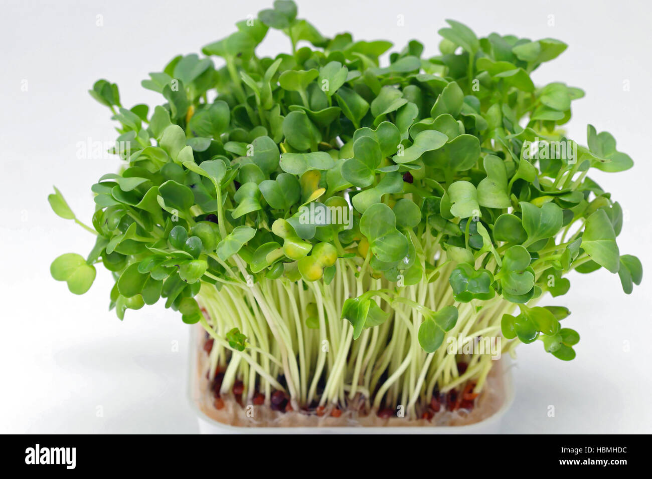 Edible watercress hires stock photography and images Alamy