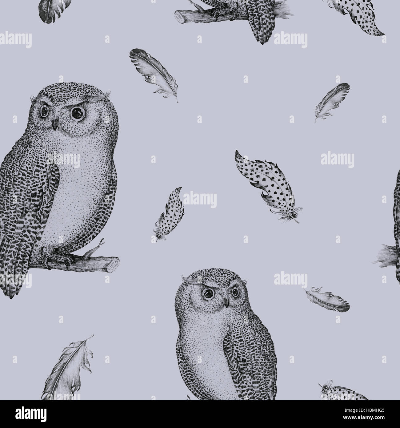 Hand drawn isolated  black white seamless pattern owl fly bird. Stock Photo