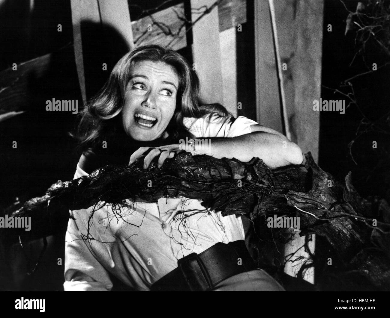 THE DAY OF THE TRIFFIDS Janette Scott 1962 Stock Photo Alamy the-day-of-the-triffids-janette-scott-1962-stock-photo-alamy