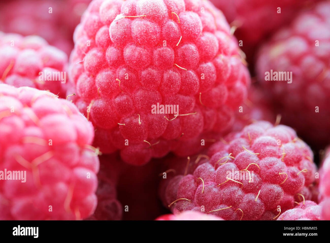 Raspberries tasty food background Stock Photo