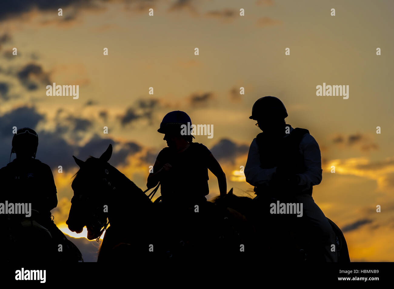 Competitive Horse Racing Stock Photo