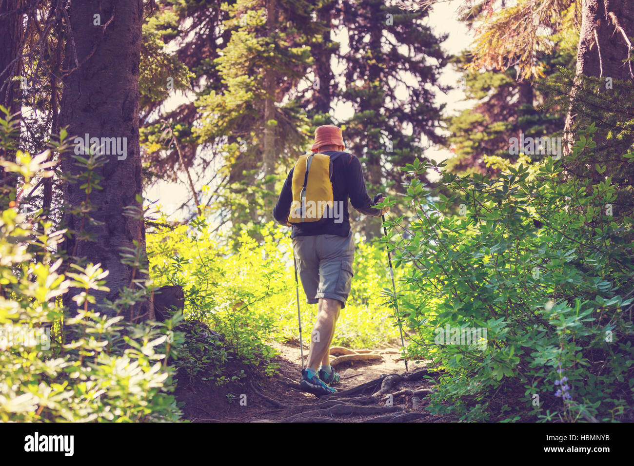 Hike In Canada Stock Photo - Alamy