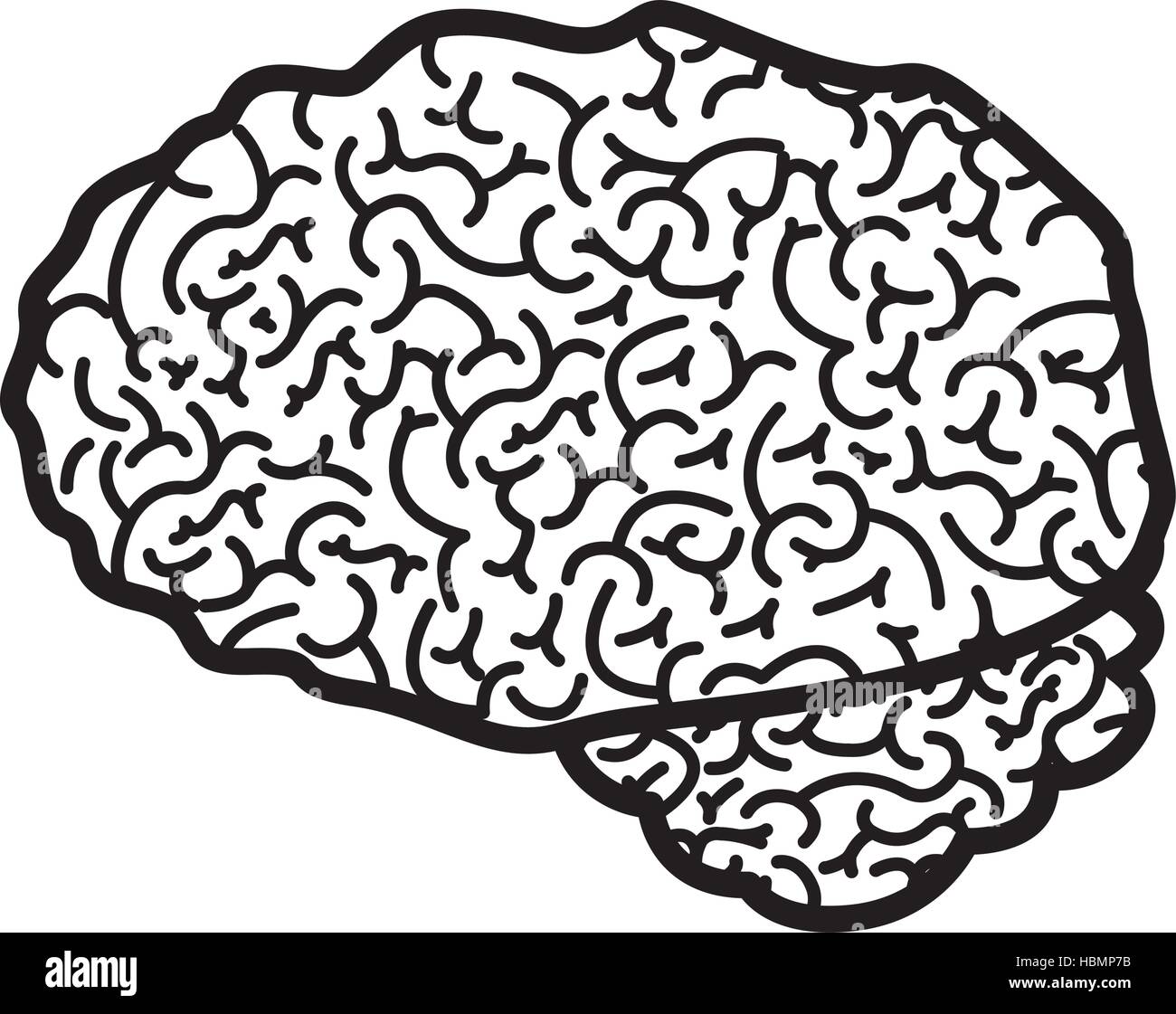 brain silhouette monochrome with side view vector illustration Stock ...