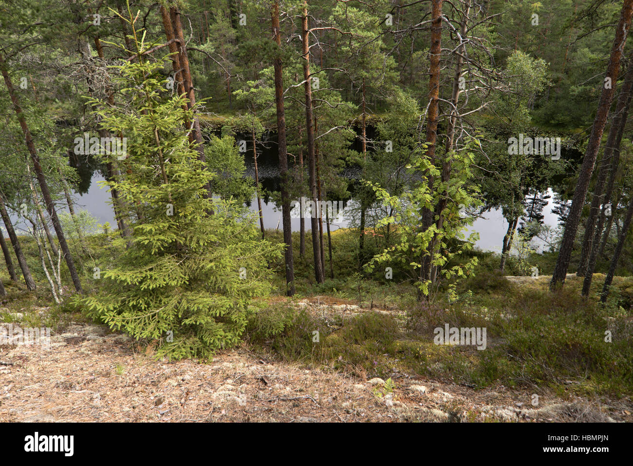 Landscape at Lake Vättern in Sweden Stock Photo - Alamy