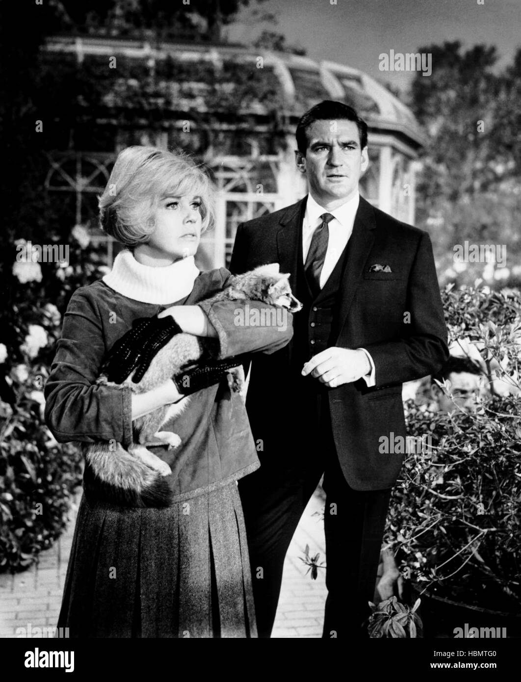 Rod Taylor And Doris Day Do Not Disturb [DVD] [1965]: Amazon.co.uk:
