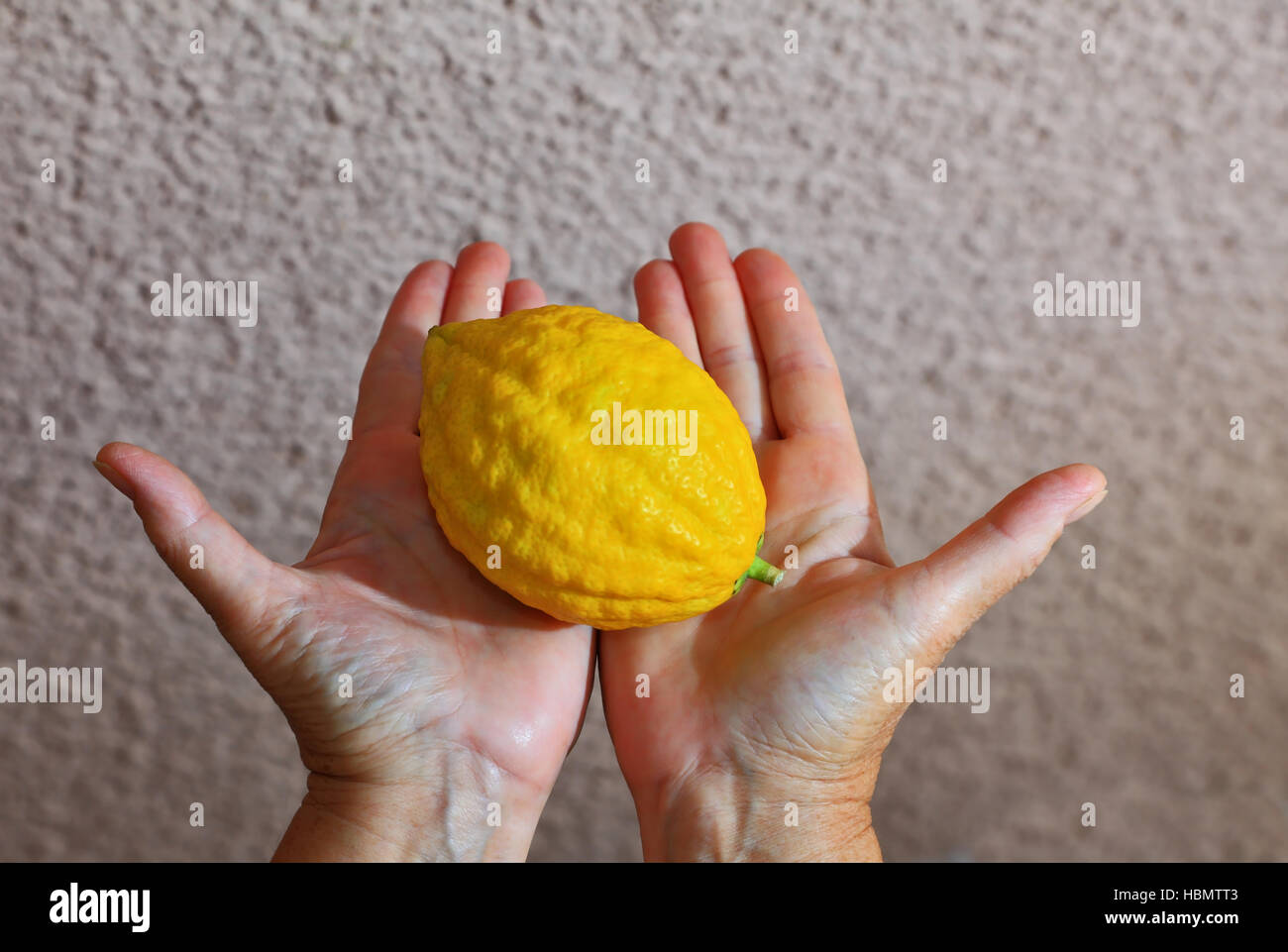 Woman's hands holding citrus fruit Stock Photo Alamy