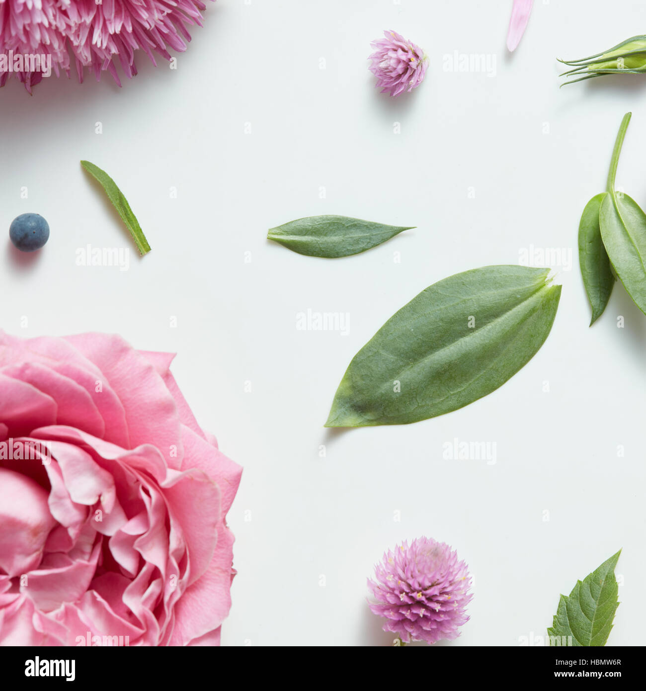 background of pink roses Stock Photo - Alamy