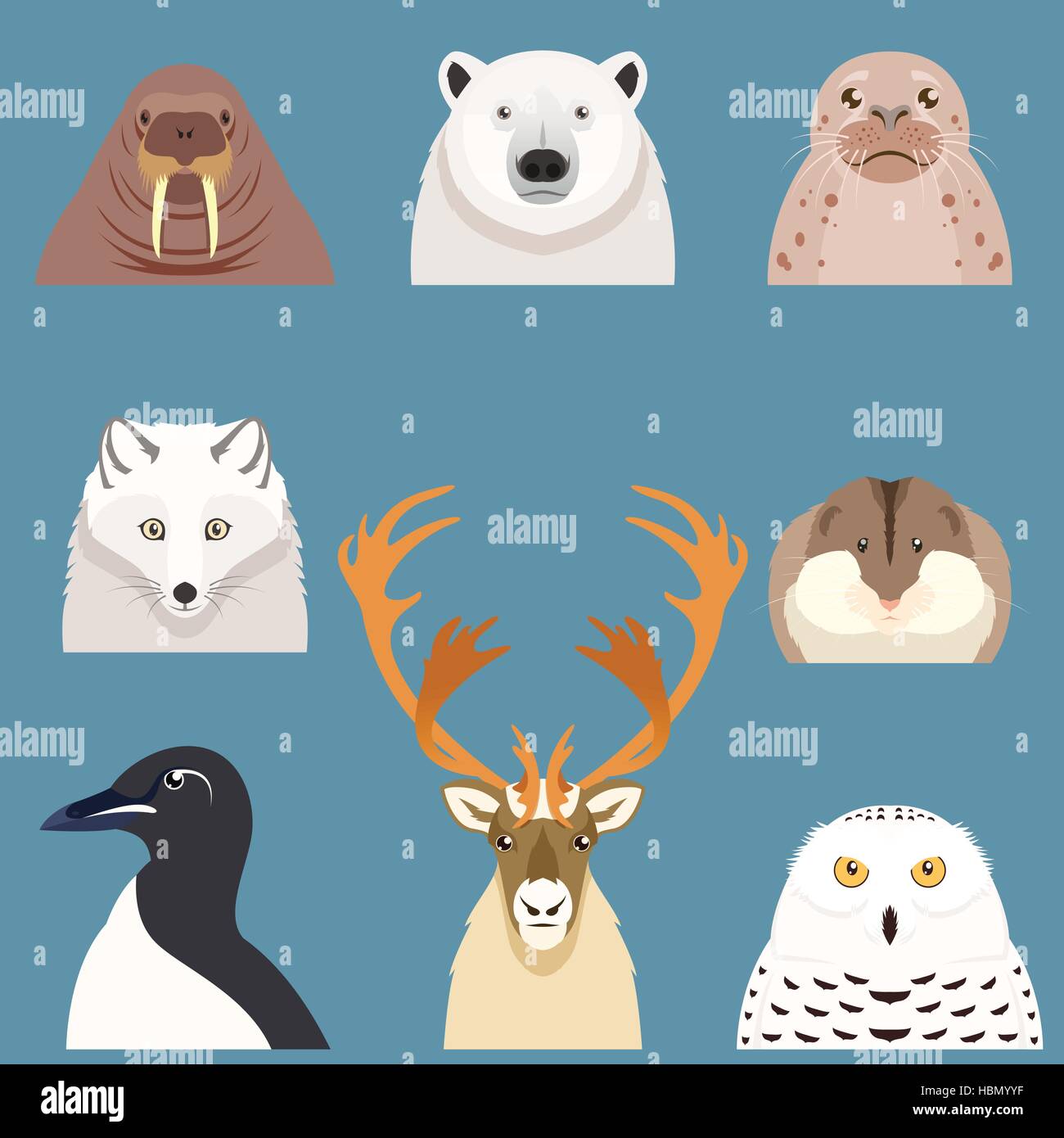 Vector image of the Set of flat arctic animal icons Stock Vector