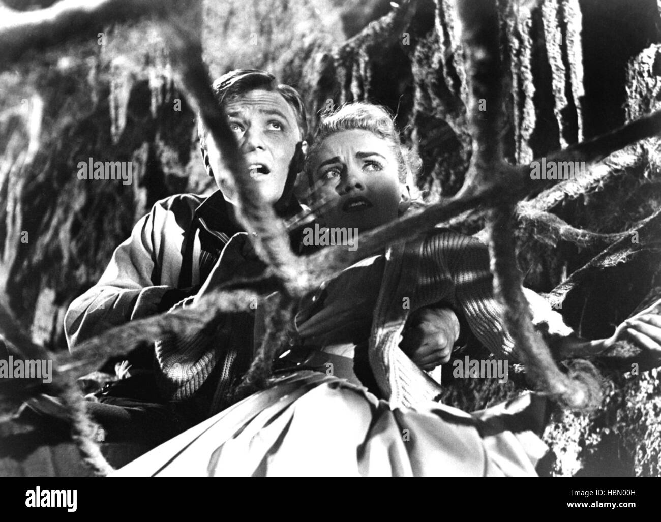 EARTH VS. THE SPIDER, Gene Persson, June Kenney, 1958 Stock Photo