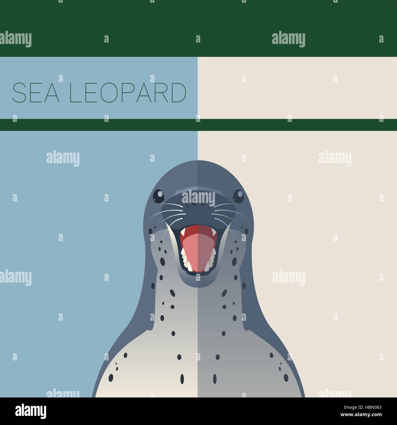 Vector image of the Sea Leopard flat postcard Stock Vector