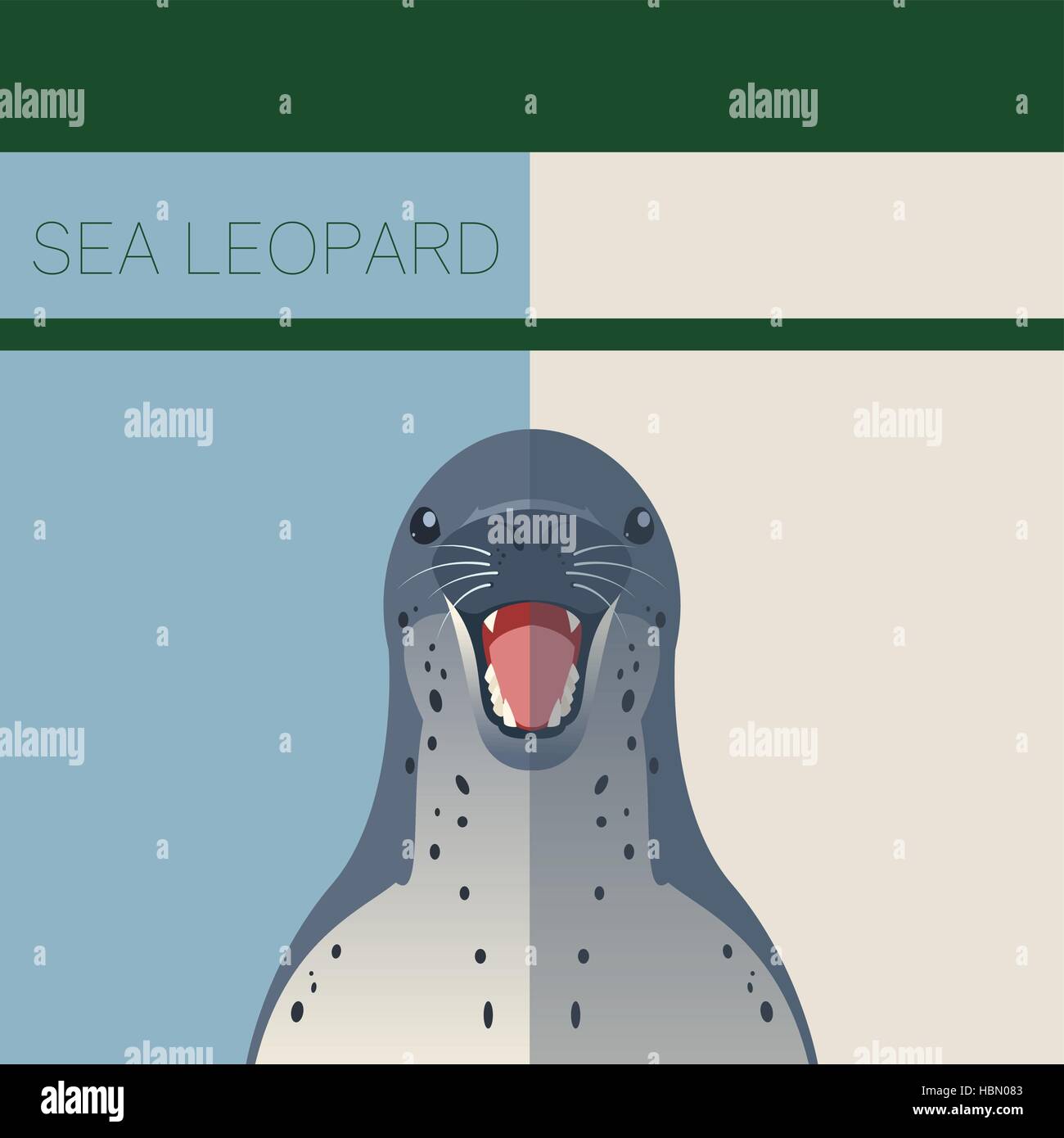 Leopard seals antarctica Stock Vector Images - Alamy
