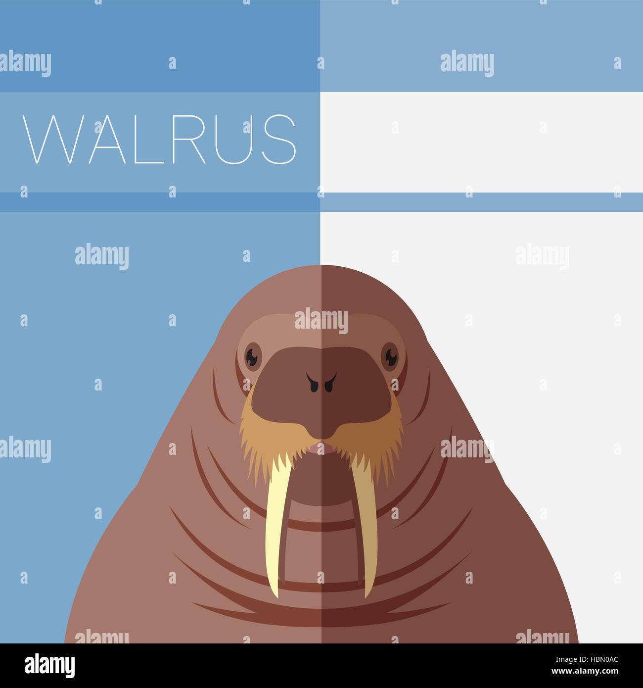 Vector imge of the Walrus flat postcard Stock Vector