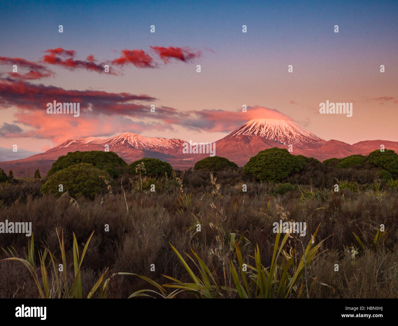 Exquisite Fire Reported In Tongariro National Park Near Site Of November Blaze View Photography Exquisite Fire Reported In Tongariro National Park Near Site Of November Blaze View Photography