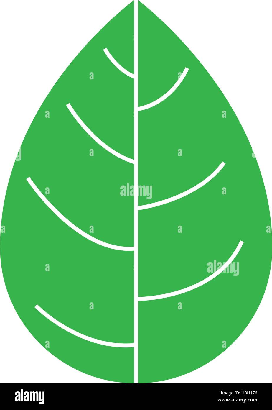 silhouette green leaf flat icon vector illustration Stock Vector Image ...