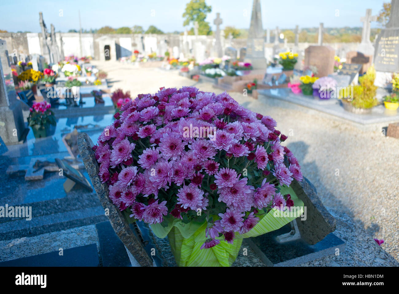 All Saints Day High Resolution Stock Photography and Images Alamy