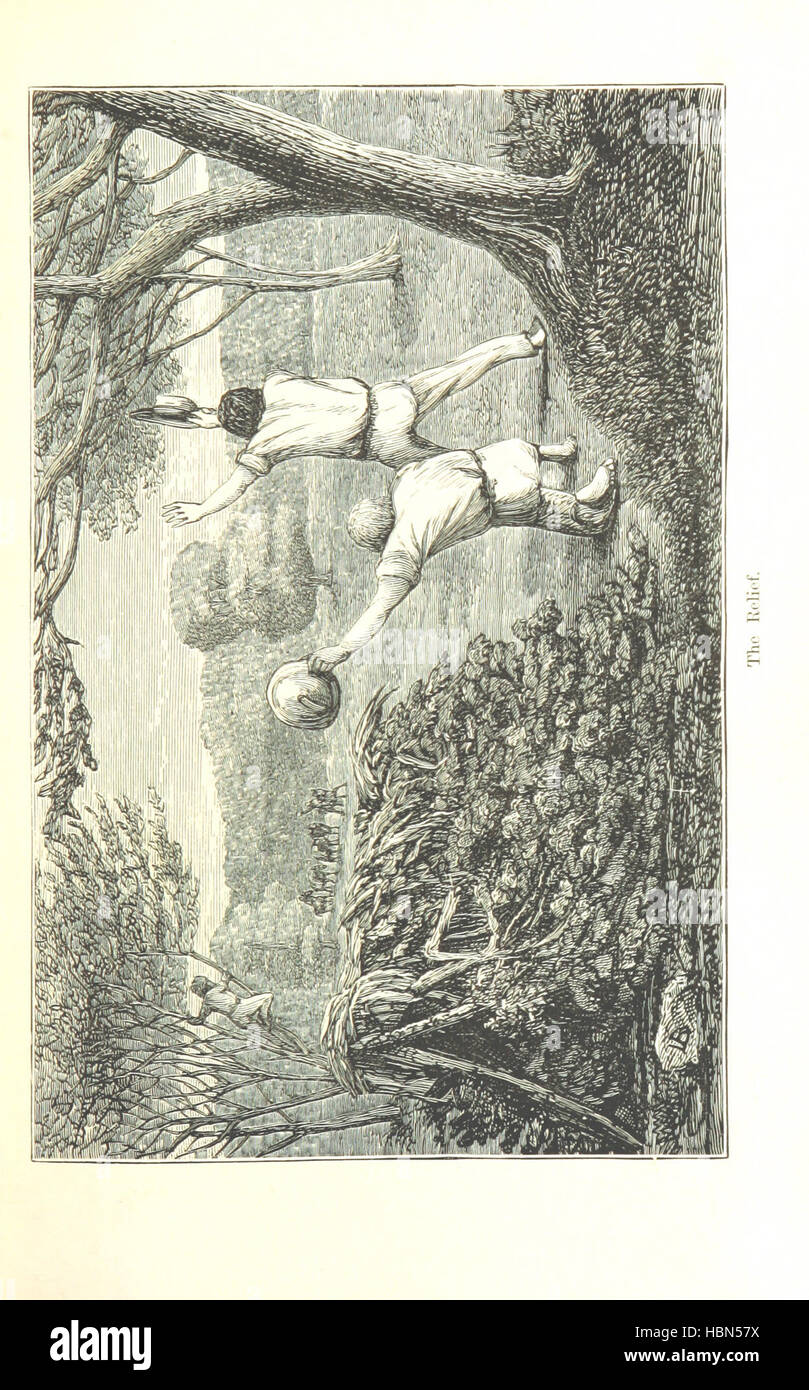 Image taken from page 325 of 'Journey across the Western interior of Australia. ... With an introduction and additions, by C. H. Eden ... Edited by H. W. Bates. ... With illustrations and a map' Image taken from page 325 of 'Journey across the Western Stock Photo