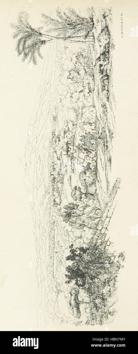 Etna. A history of the mountain and its eruptions With maps and