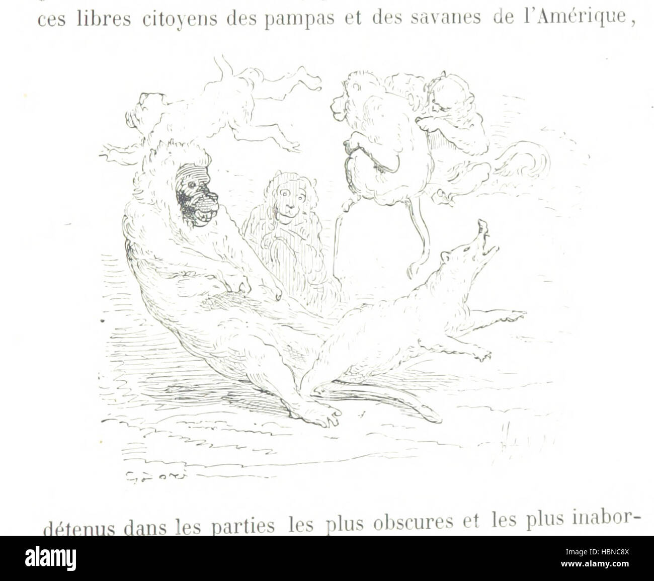 Le Chemin Des coliers Promenade De Paris Marly le Roy En Suivant 