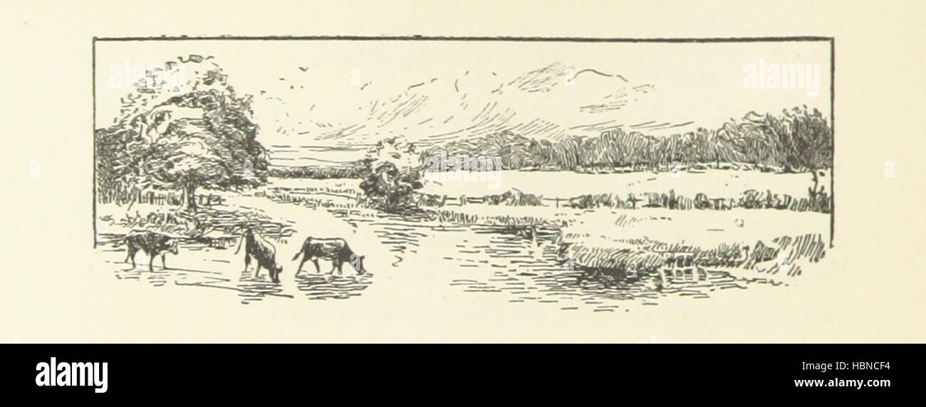 Unequally Yoked Image taken from page 254 of 'Unequally Yoked' Stock Photo Alamy