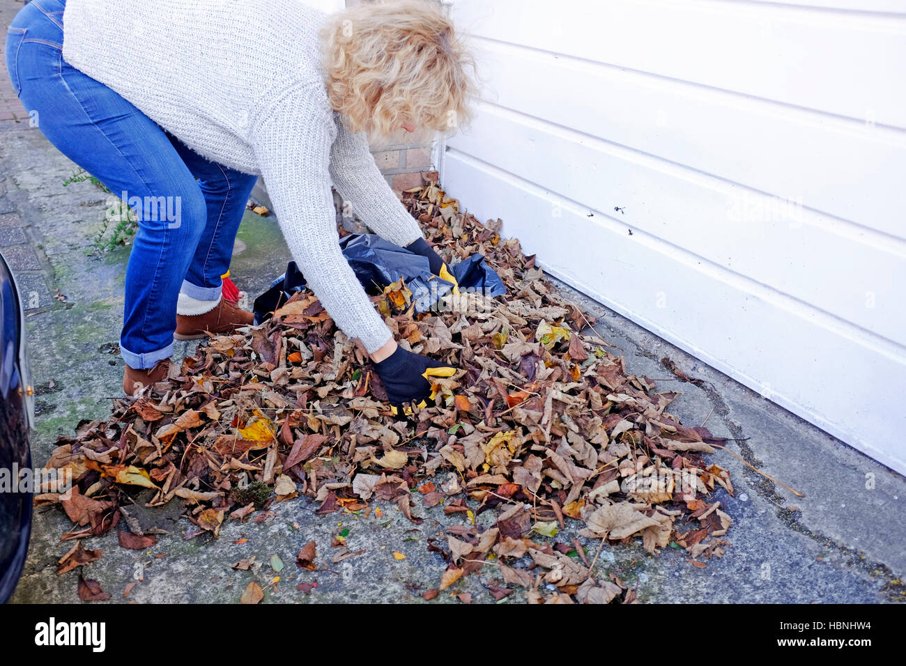 Woman sweeping and clearing up fallen Autumn leaves from her driveway in Brighton UK Stock Photo