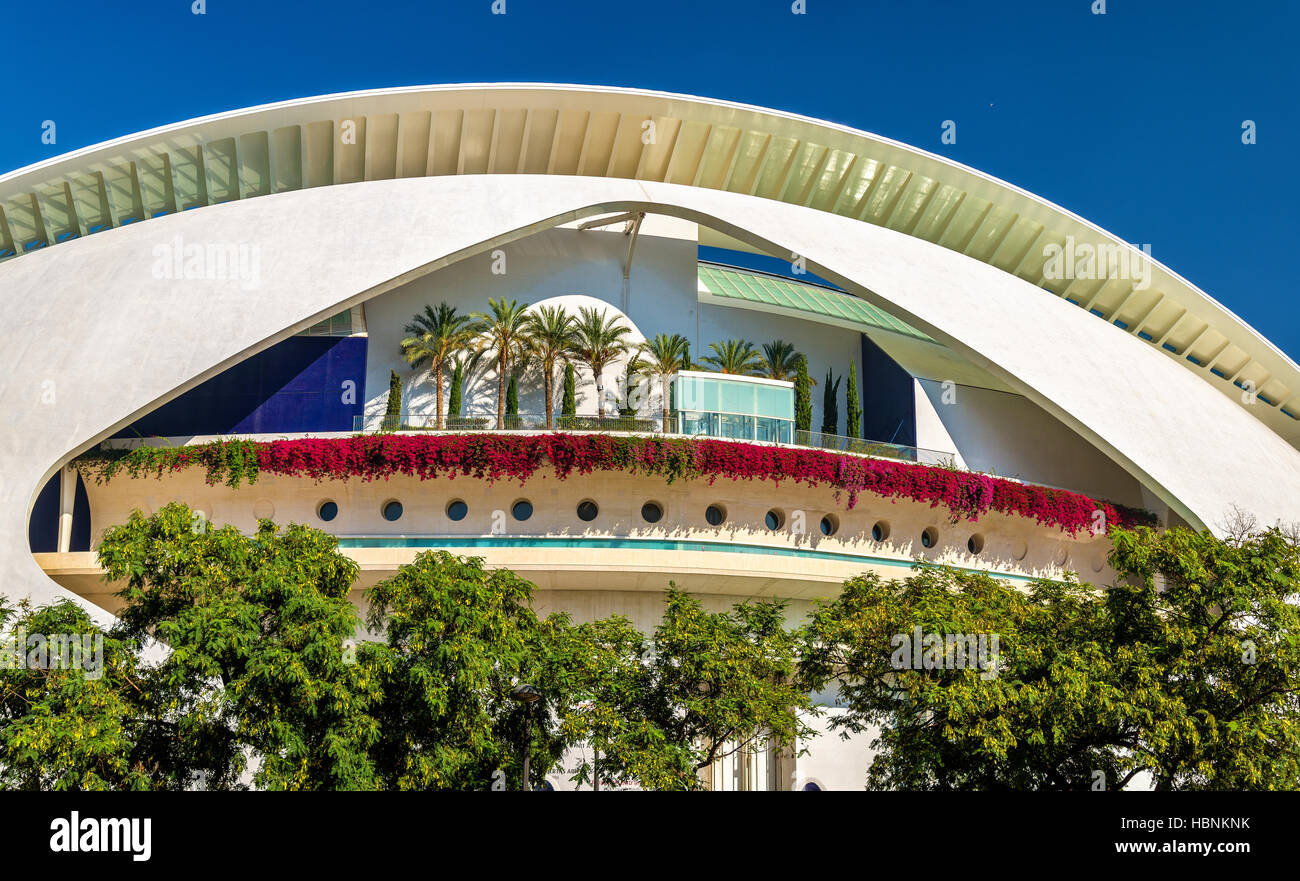 Arts Palace of Queen Sofia in Valencia, Spain Stock Photo