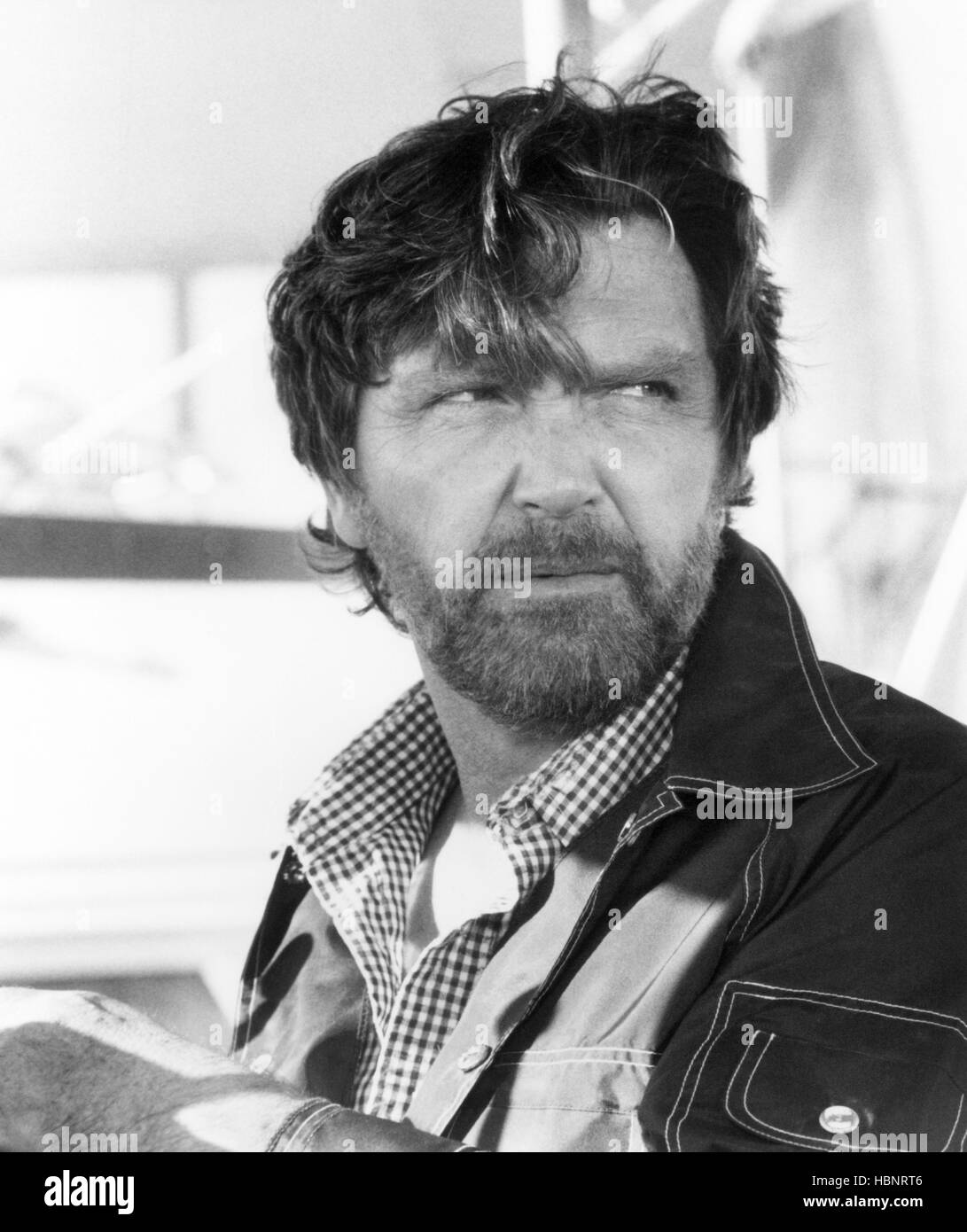 Empire of the ants robert lansing 1977 stock photo alamy