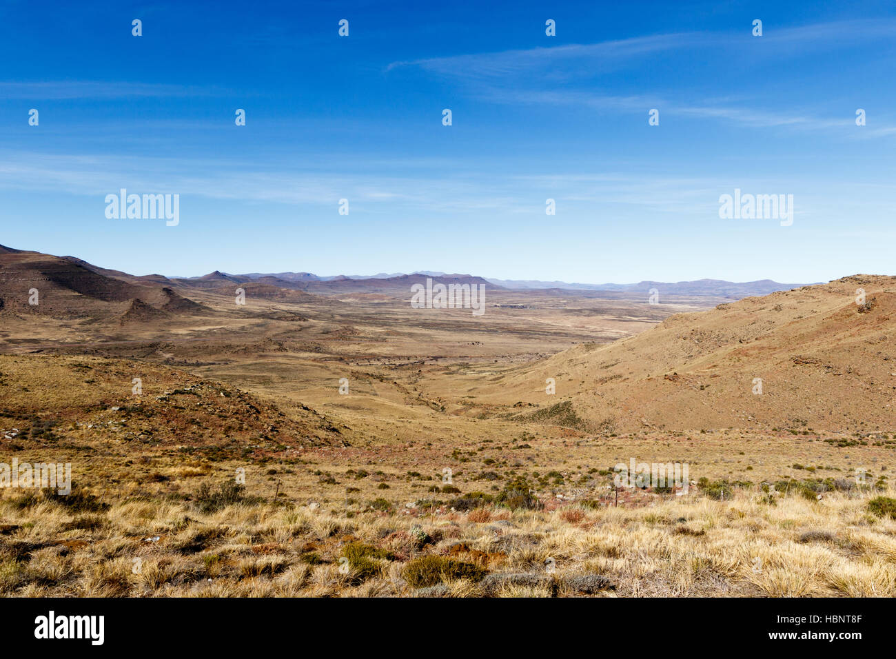 Beautiful green valley within the mountains Stock Photo